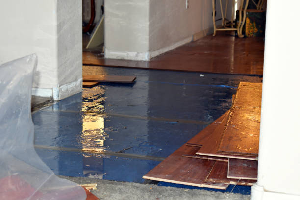 Professional Flood Damage Restoration technician working in Albany, TX